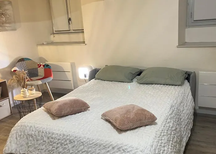 Le Cosy Du Marche Notre-dame Apartment Poitiers